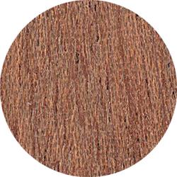 Fastcap Adhesive Caps 14mm Sapelement - Card of 52 Caps
