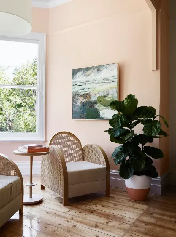 interior pink with chair and plant.