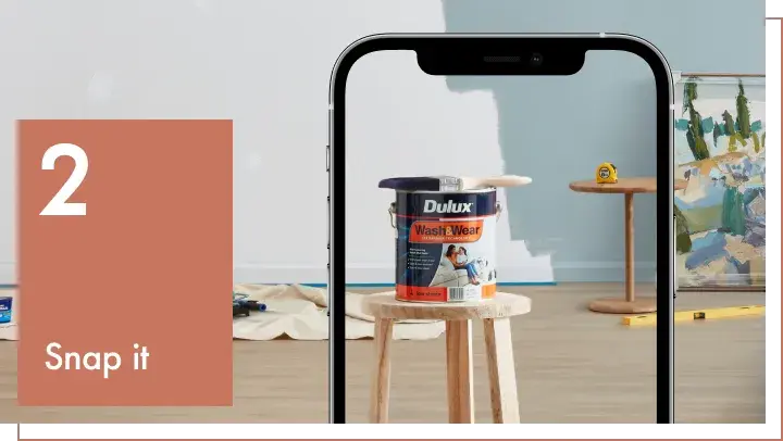 Dulux DIY Overview - 2. Snap it