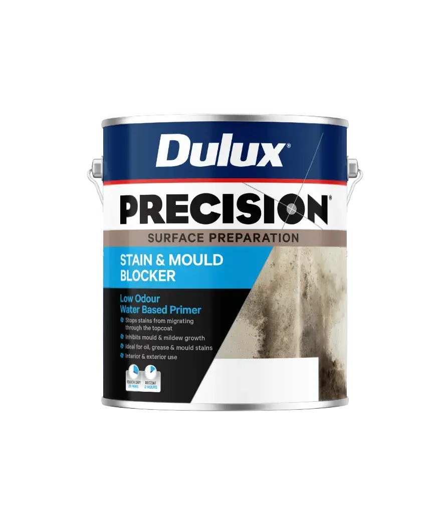 PRECISION® Stain & Mould