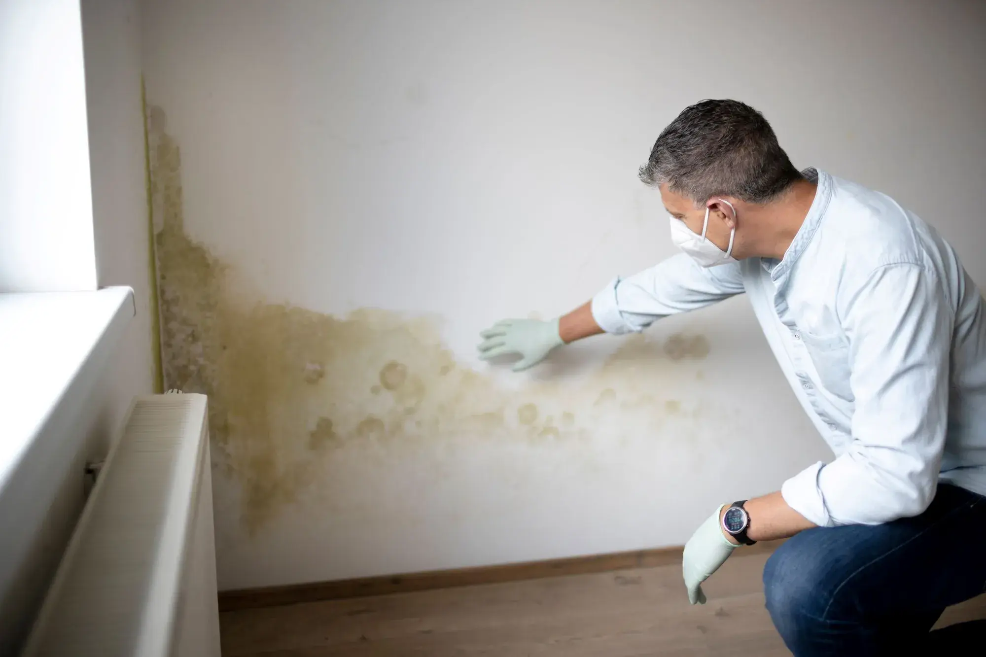 A man wearing gloves wiping a light coloured wall to remove mould.