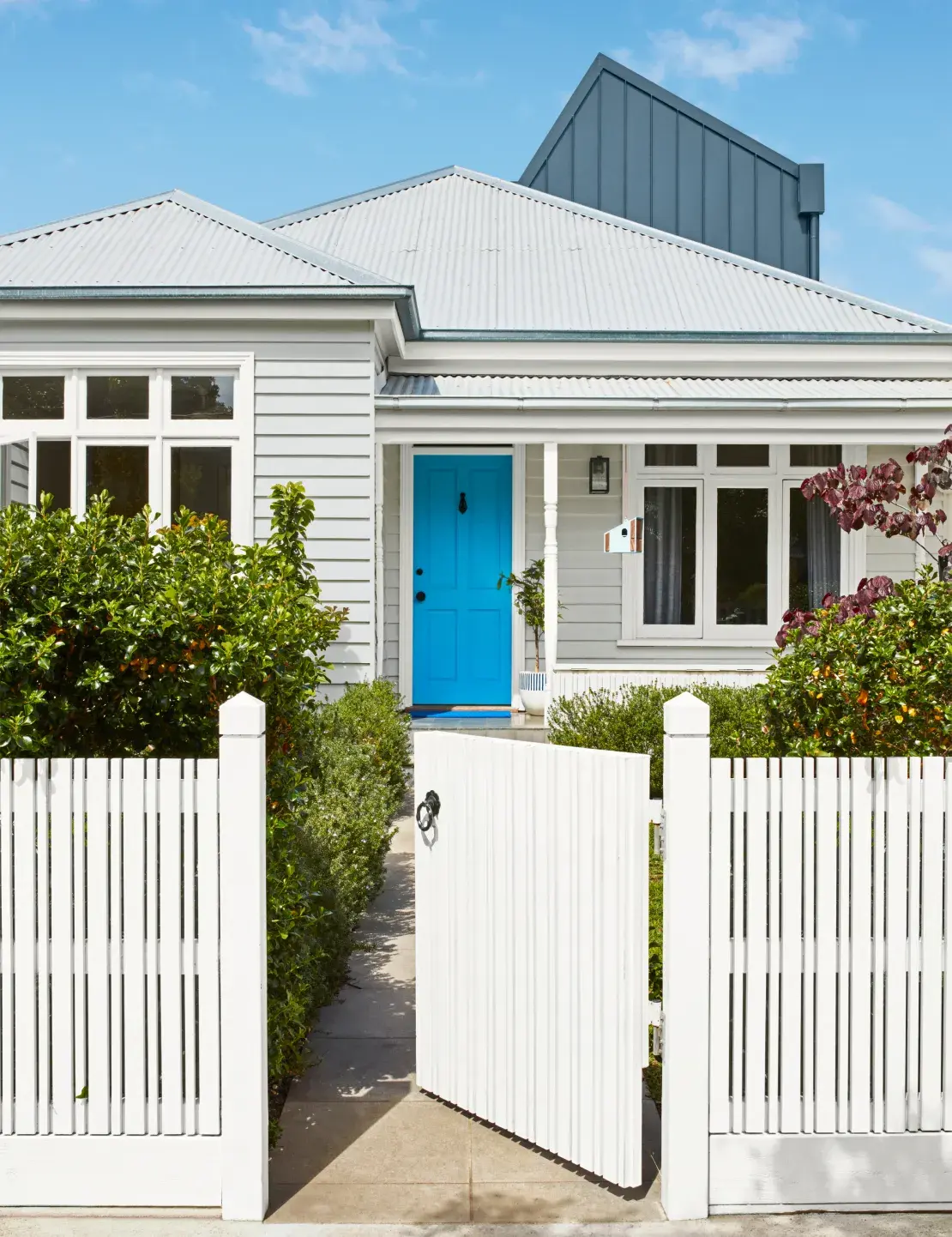 Weatherboard exterior traditional house with white coloured fence and house trims. The front door is bright blue.