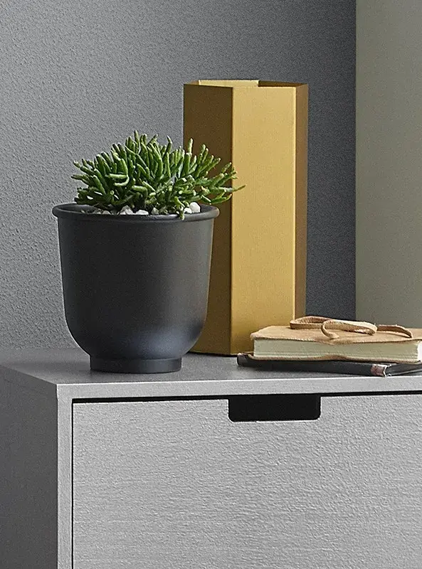 interior drawers closeup plants and ornaments. 