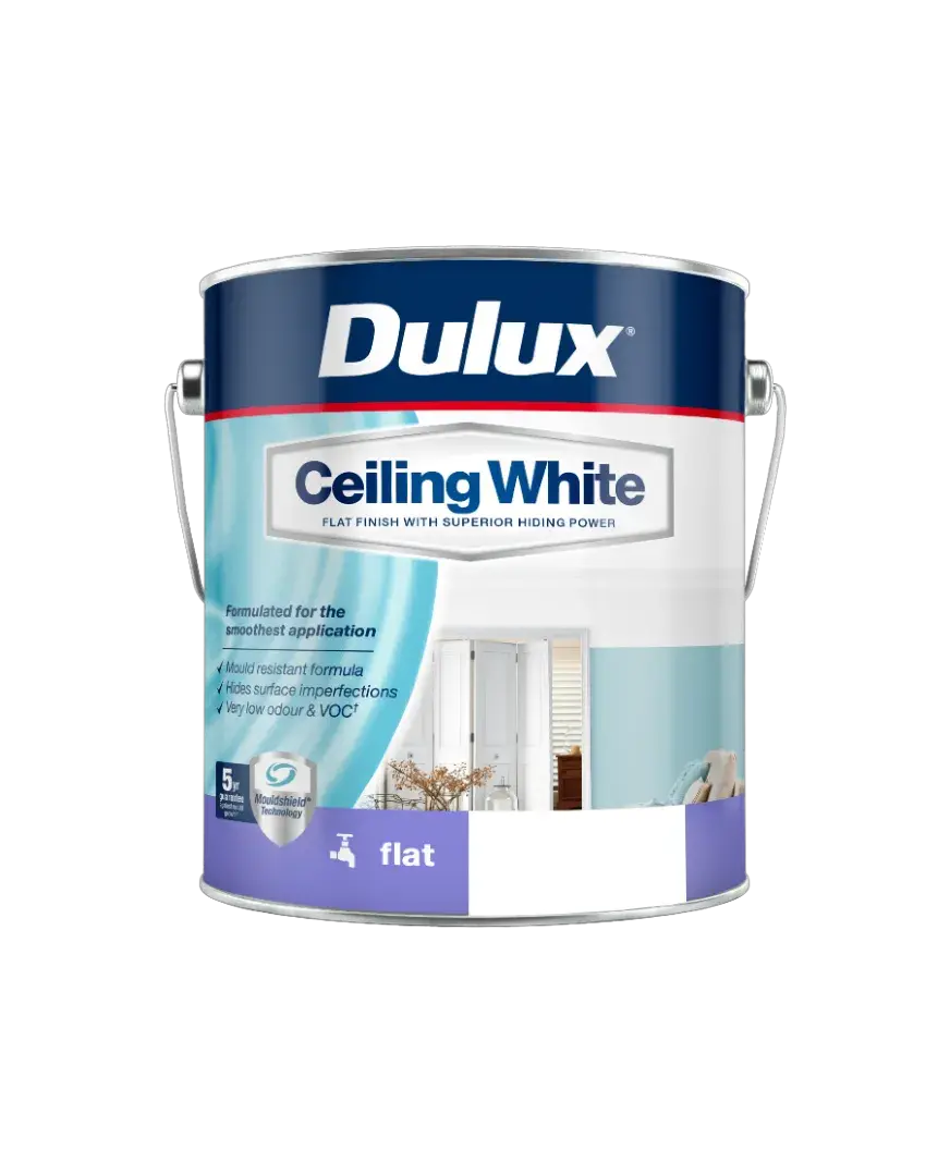 Ceiling