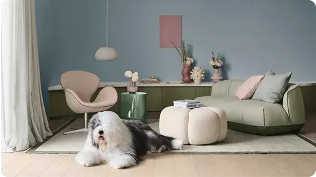 Dulux Seasonal Colour Trends 2026