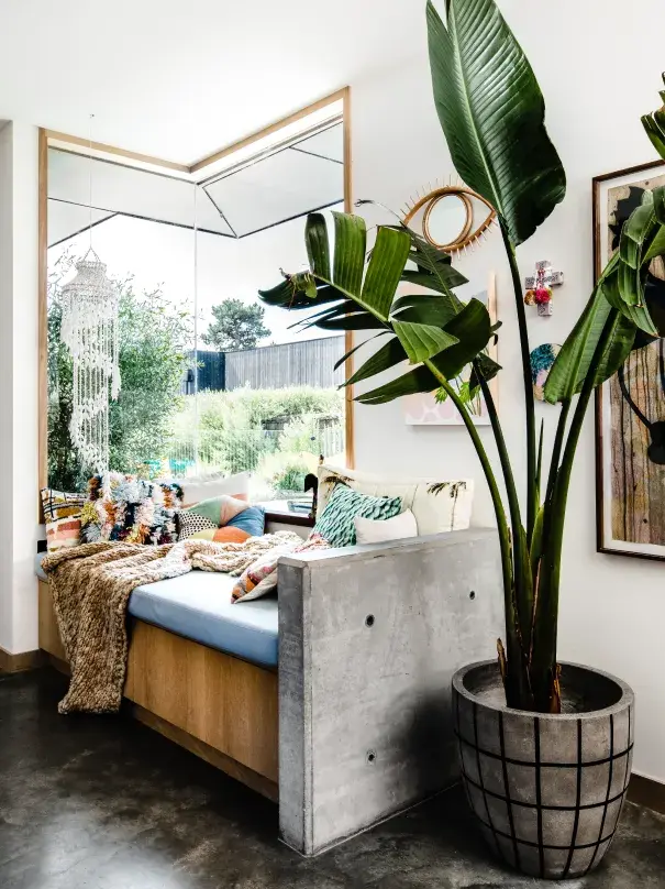 Large pot plant and bench seat against white interior wall
