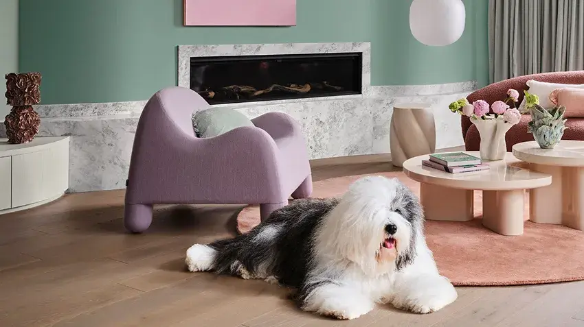 Dulux Seasonal Trends