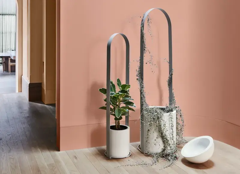 interior-pink-plants