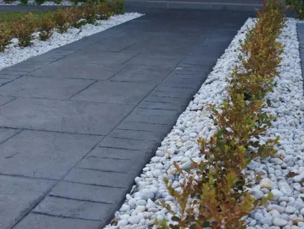 Paved pathway bordered by white pebbles and garden plants