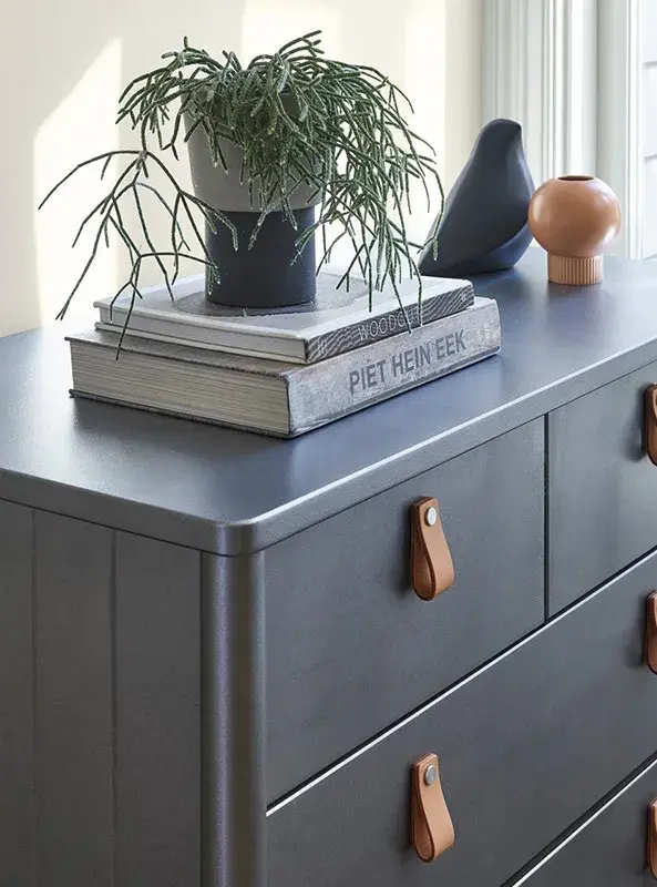 interior close up of chest of drawers with plant and books.