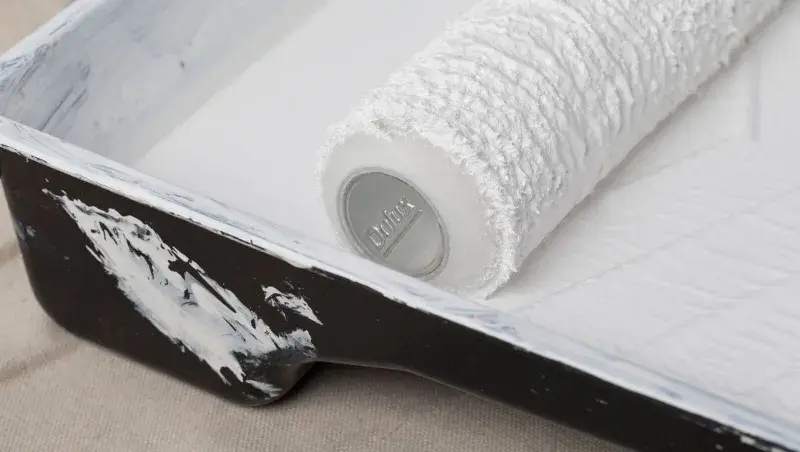 Roller in roller tray