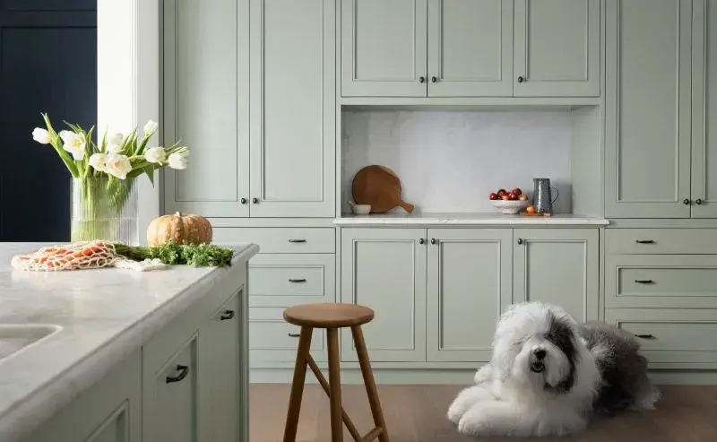 Designing a kitchen​